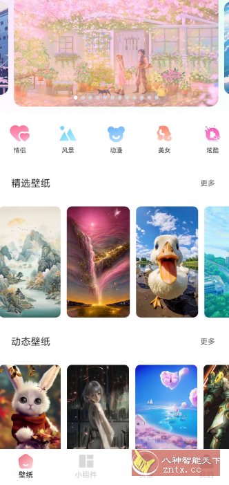 91熊猫桌面主题v1.0.6高级版-邪修侠数据中心