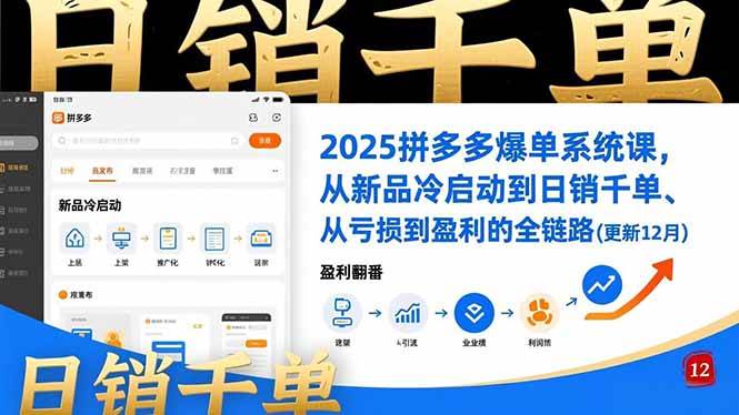 （16894期）2025拼多多爆单系统课，从新品冷启动到日销千单、从亏损到盈利的全链路（更新12月）-邪修侠数据中心