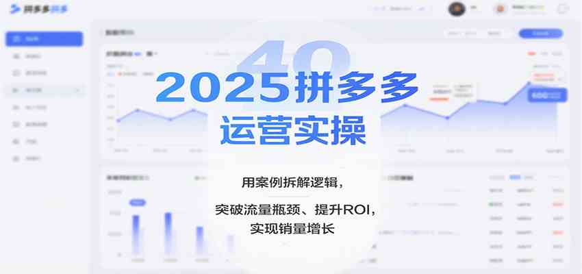 2025拼多多运营实操，用案例拆解逻辑，突破流量瓶颈、提升ROI，实现销量增长（更新）-邪修侠数据中心